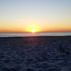 Meet your Posher, Erwin